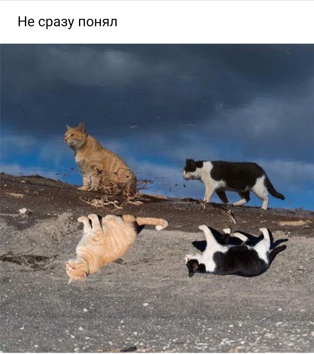 Не сразу понял