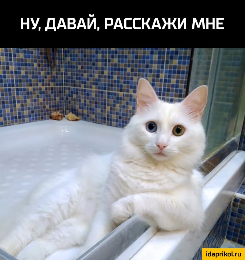 НУ ДАВАЙ РАССКАЖИ МНЕ