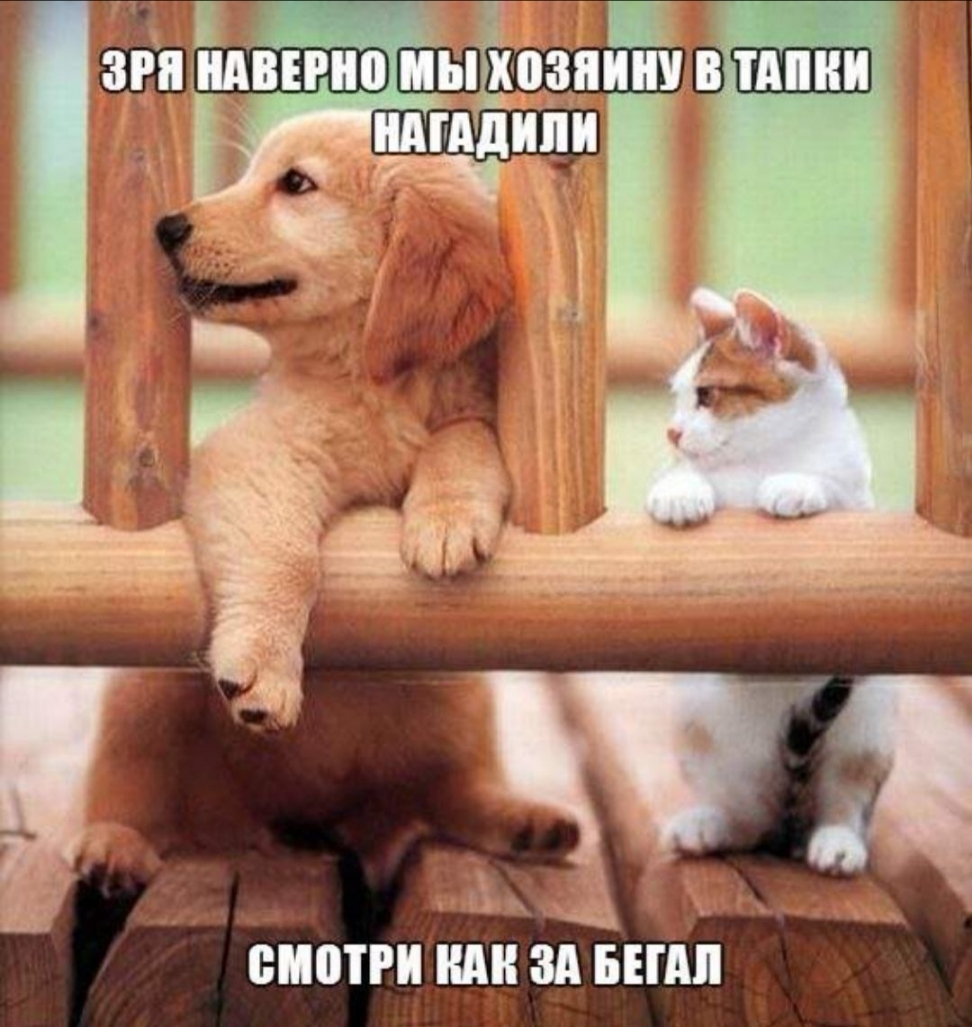 жившие ВЁ нм или епотгиши зд вши т
