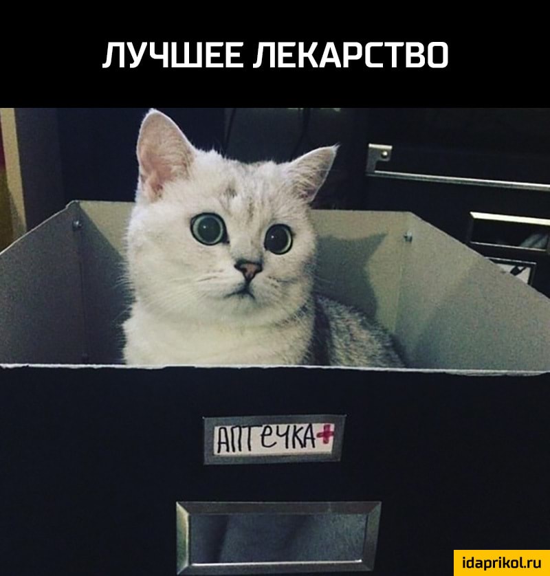 ЛУЧШЕЕ ЛЕКАРСТВО аг _ ісівргіКпЬги