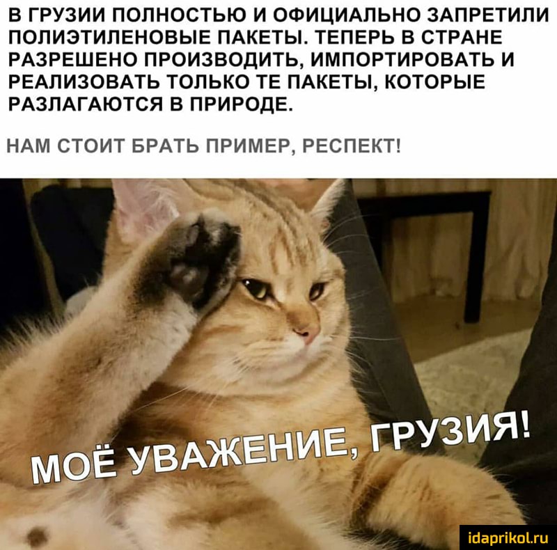 В ГРУЗИИ ПОЛНОСТЬЮ И ОФИЦИАЛЬНО ЗАПРЕТИПИ ПОЛИЭТИПЕНОВЫЕ ПАКЕТЫ ТЕПЕРЬ В СТРАНЕ РАЗРЕШЕНО ПРОИЗВОДИТЬ ИМПОРТИРОВАТЬ И РЕАЛИЗОВАТЬ ТОЛЬКО ТЕ ПАКЕТЫ КОТОРЫЕ РАЗЛАГАЮТСЯ В ПРИРОДЕ НАМ СТОИТ БРАТЬ ПРИМЕР РЕСПЕКТ