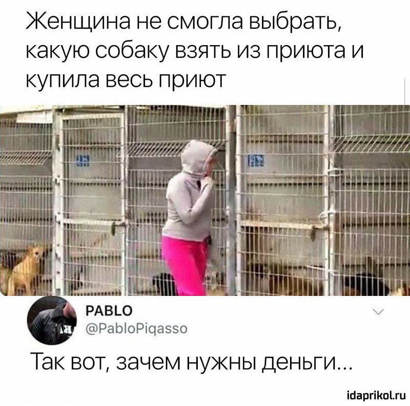 Женщина не смогла выбрать какую собаку взять из приюта и купила весь приют и РаЫоРічаззо ТЭК ВОТ зачем НУЖНЫ ДЕНЬГИ іЦаргіКпЬги