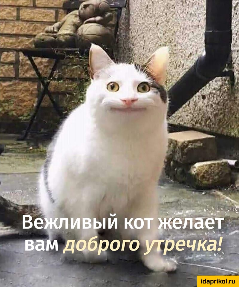 и Г Ы к п п а Ш