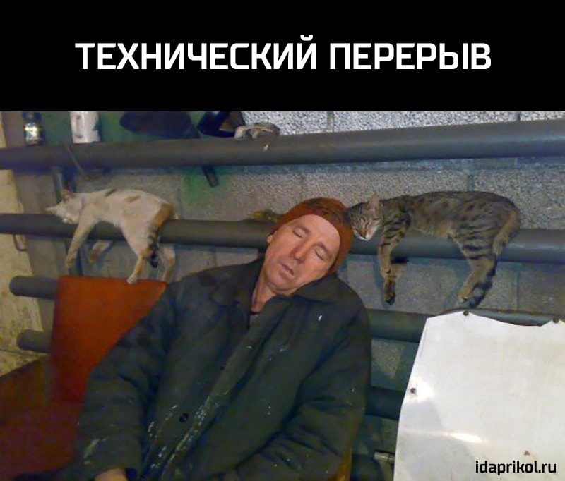 ТЕХНИЧЕСКИЙ ПЕРЕРЫВ ібаргіКпіш