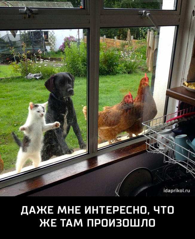 тащишь ДАЖЕ МНЕ ИНТЕРЕСНО ЧТО ЖЕ ТАМ ПРОИЗОШЛО