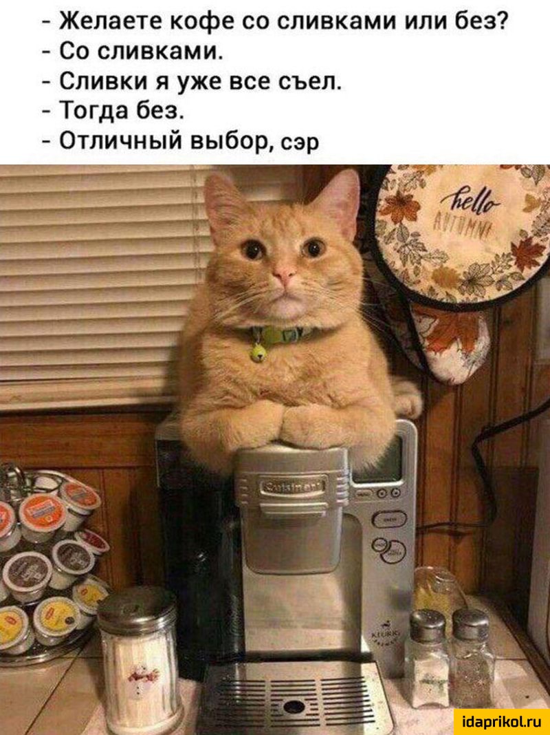 Желаете кофе со сливками или без Со сливками Сливки я уже все съел Тогда без Отличный выбор сэр