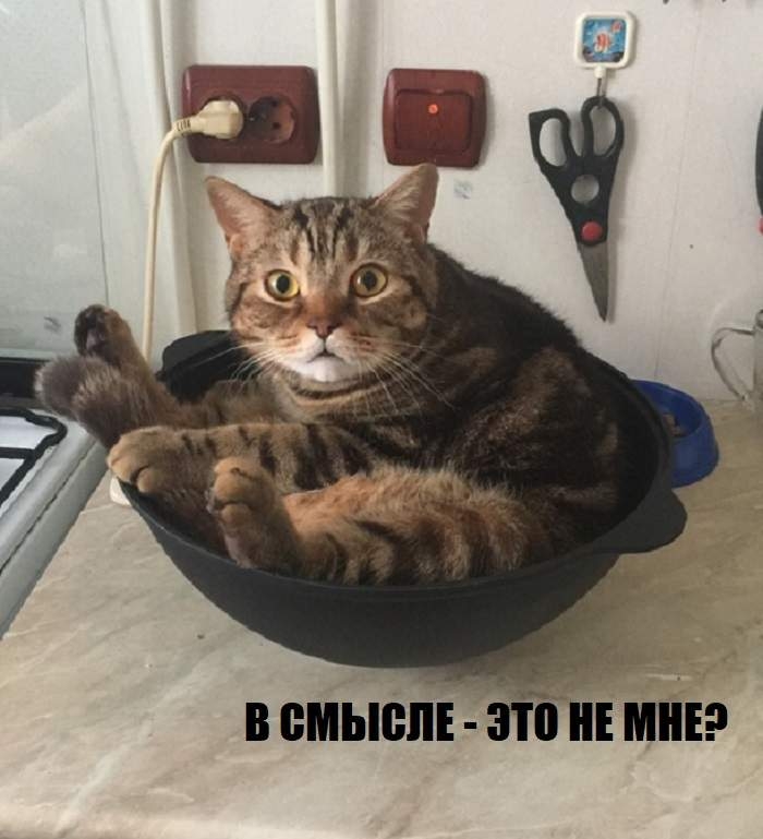 вемыепі
