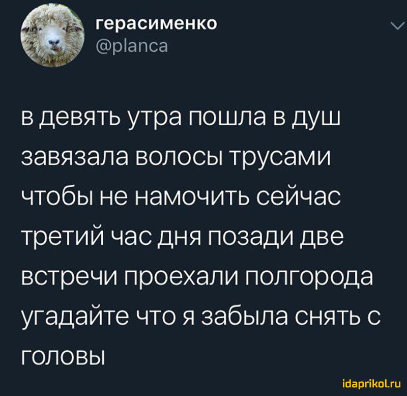 герасименко в девять утра пошла в душ завязала волосы трусами чтобы не намочить сейчас третий час дня позади две встречи проехали полгорода угадайте что я забыла снять с ГОЛОВЫ ійаргіКпЫи
