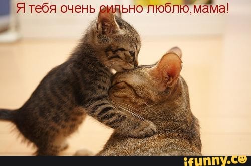 Я тебя очень и ьно пюбпкТмама