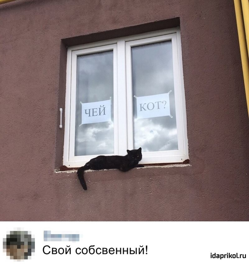 П _ Свой собсвенный Шарпкшш