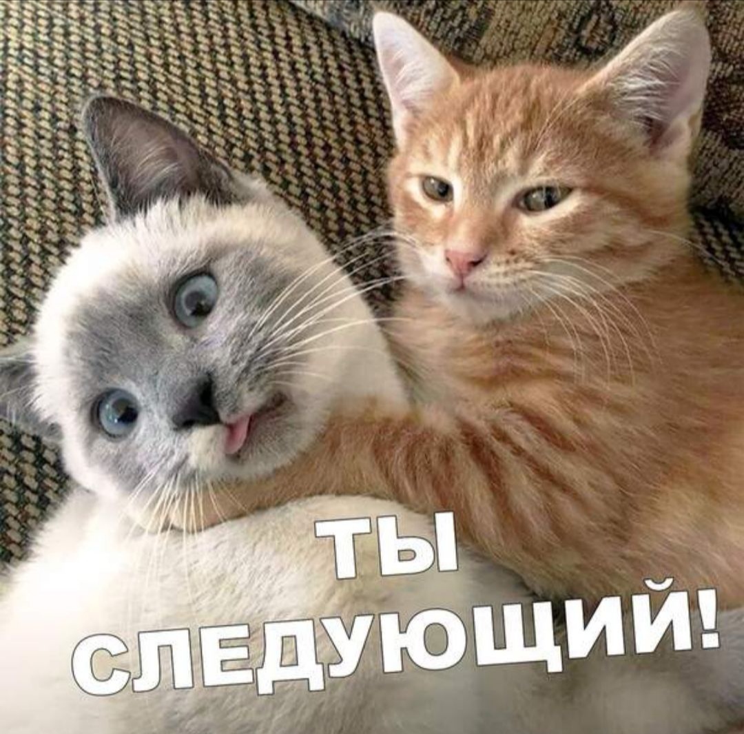 423 ИТОА АЯ р уув7 ЕЙ раФур в 407 и онае рут Че Ро 294 Чет 139 р0277 ит290 7 фе неныя 777 427 Черуер од Фтоо у ов тт вго4 ваеео тво ред фоУФ ОГУ