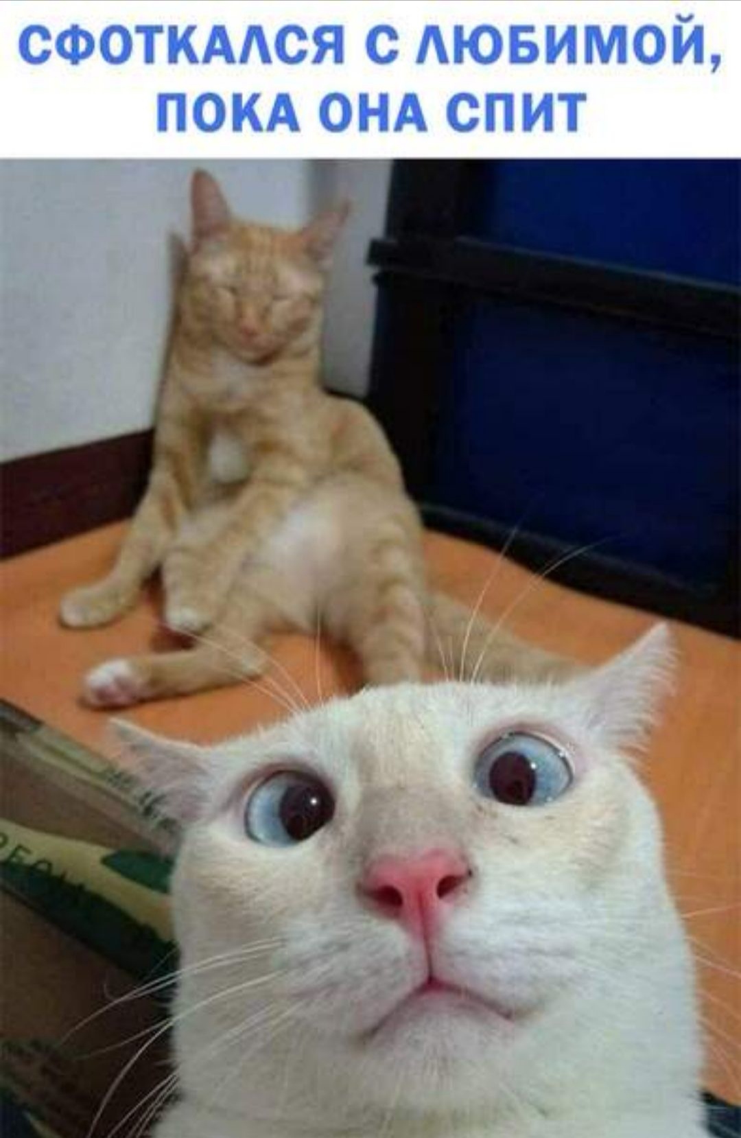 СФОТКАЛСЯ С ЛЮБИМОЙ ПОКА ОНА СПИТ