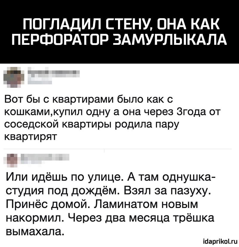 ПОГЛАДИЛ СТЕНУ ОНА КАК ПЕРФОРАТОР ЗАМУРЛЫКАЛА Вот бы с квартирами было как с кошкамикупил одну а она через Згода от соседской квартиры родила пару квартирят Или идёшь по улице А там однушка студия под дождём Взял за пазуху Принёс домой Ламинатом новым накормил Через два месяца трёшка вымахала ісаргіпгц