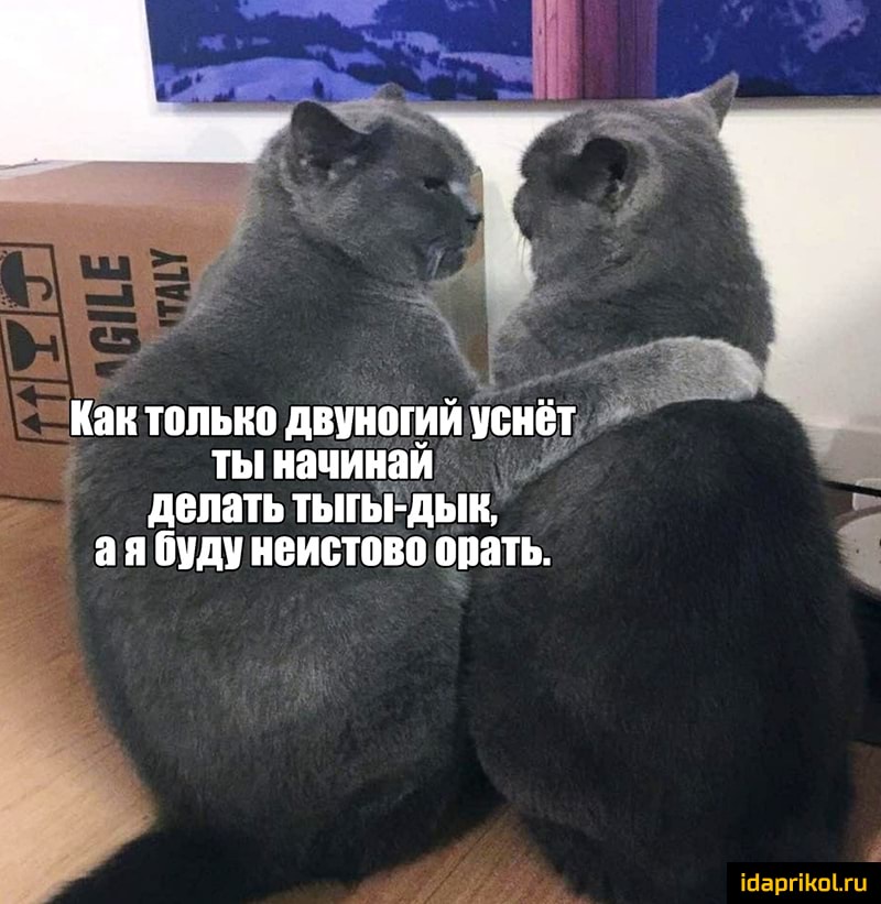 ИЯИ ШПЫЮ дВУИМИИ УБИЁТ ТЫИЯЧИИЗИ делать тыгы дыи а Я буду ИЁИБТШЮ ПЗТЬ ійаргіКпіти