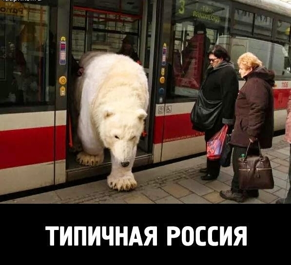 ТИПИЧНАЯ РПССИЯ