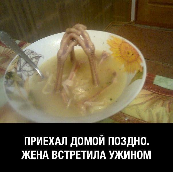 ПРИЕХАЛ дОМОЙ ПОЗДНО ЖЕНА ВСТРЕТИЛА УЖИНОМ