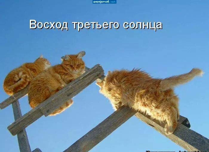 _шЗЁЁЭД Тр ЭГы ЭГО СОШ Ща