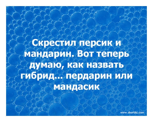 _ Скрестил персик и мандарин Вот теперь думаю как назвать гибрид пердарин или маидасик