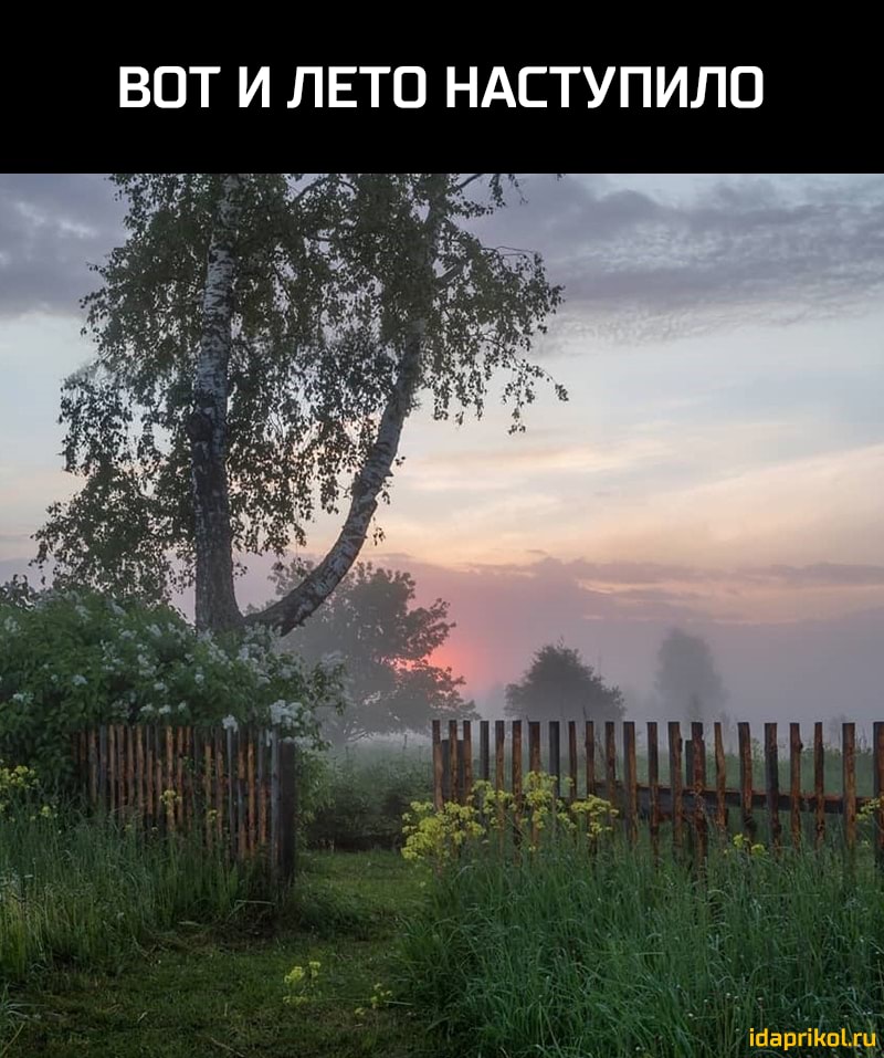 ВОТ И ЛЕТО НАЕТУПИЛП Шавгіипш