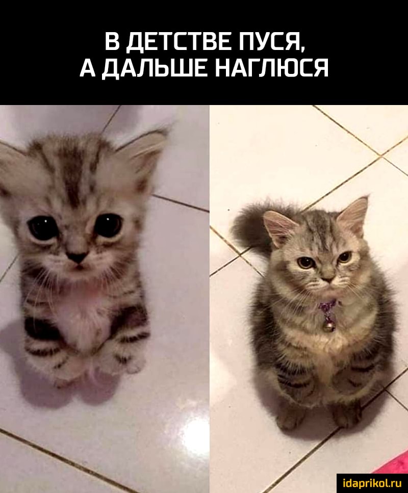 В ДЕТСТВЕ ПУСЯ А ДАЛЬШЕ НАГЛЮЕЯ