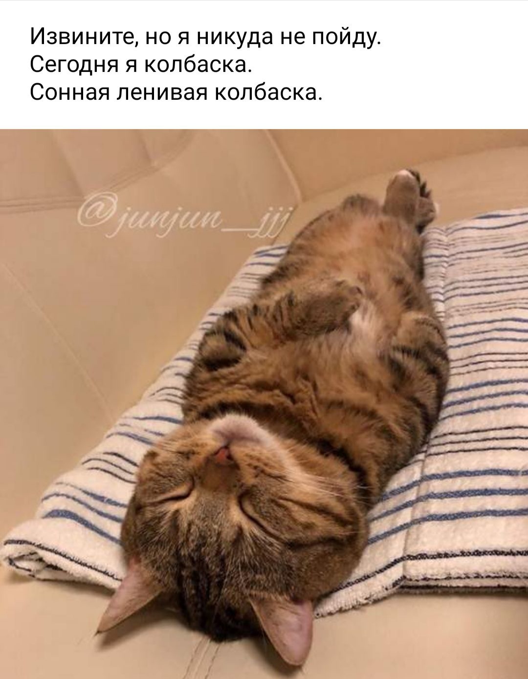Извините но я никуда не пойду Сегодня я колбаска Сонная ленивая колбаска