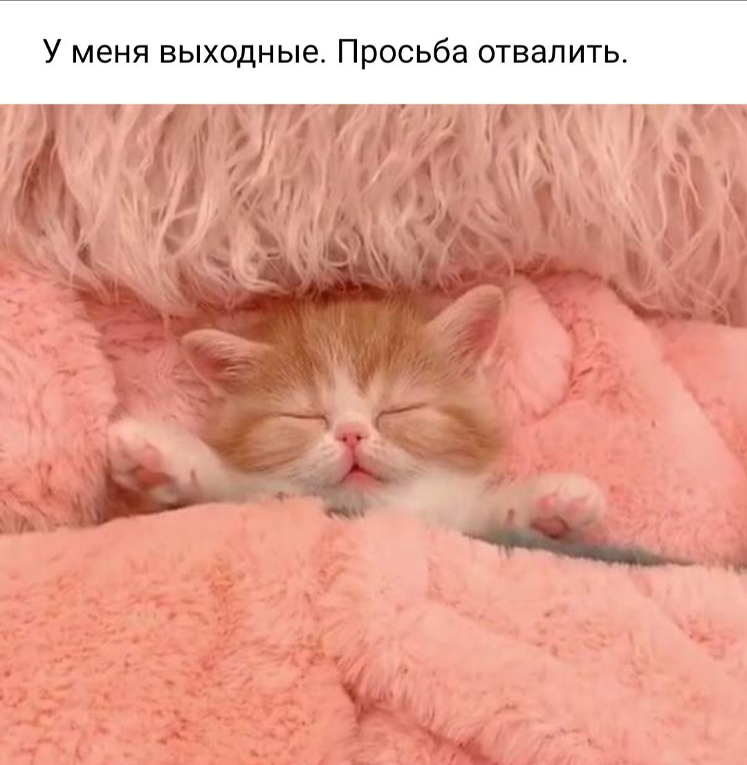 У меня выходные Просьба отвалить