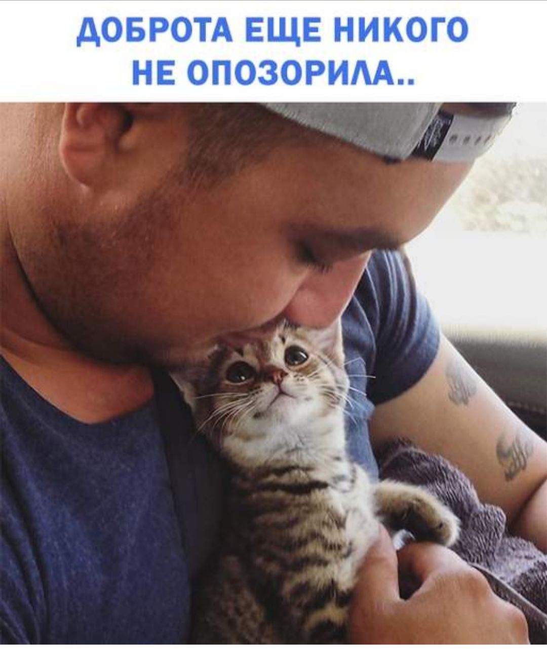ДОБРОТА ЕЩЕ НИКОГО НЕ ОПОЗОРИЛА