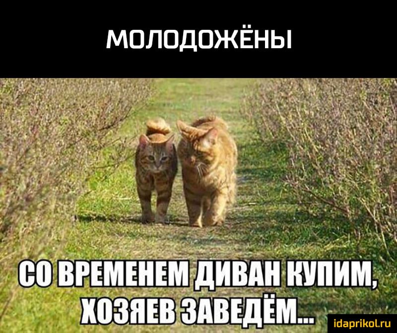 МОЛОДОЖЁНЫ