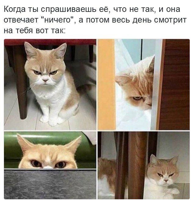гда ты спрашиваешь ее что не так и она отвечает ничего а потом весь день смотрит на тебя вот так
