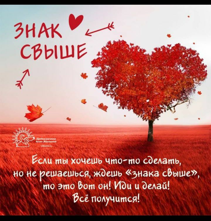пт на
