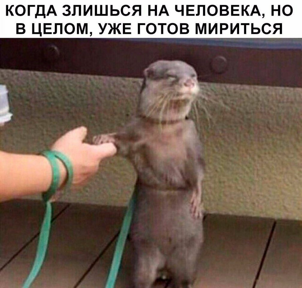 КОГДА ЗПИШЬСЯ НА ЧЕЛОВЕКА НО В ЦЕЛОМ УЖЕ ГОТОВ МИРИТЬСЯ