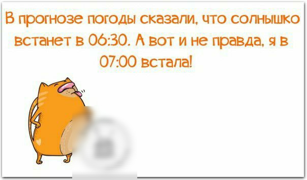 В прогнозе погоды сказаличто сопньшко вспнет в 0630 А вот и не гравда я в 0700 Встала
