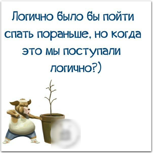 Логично было бы пойти спать пораньше но когда это мы поступали логично