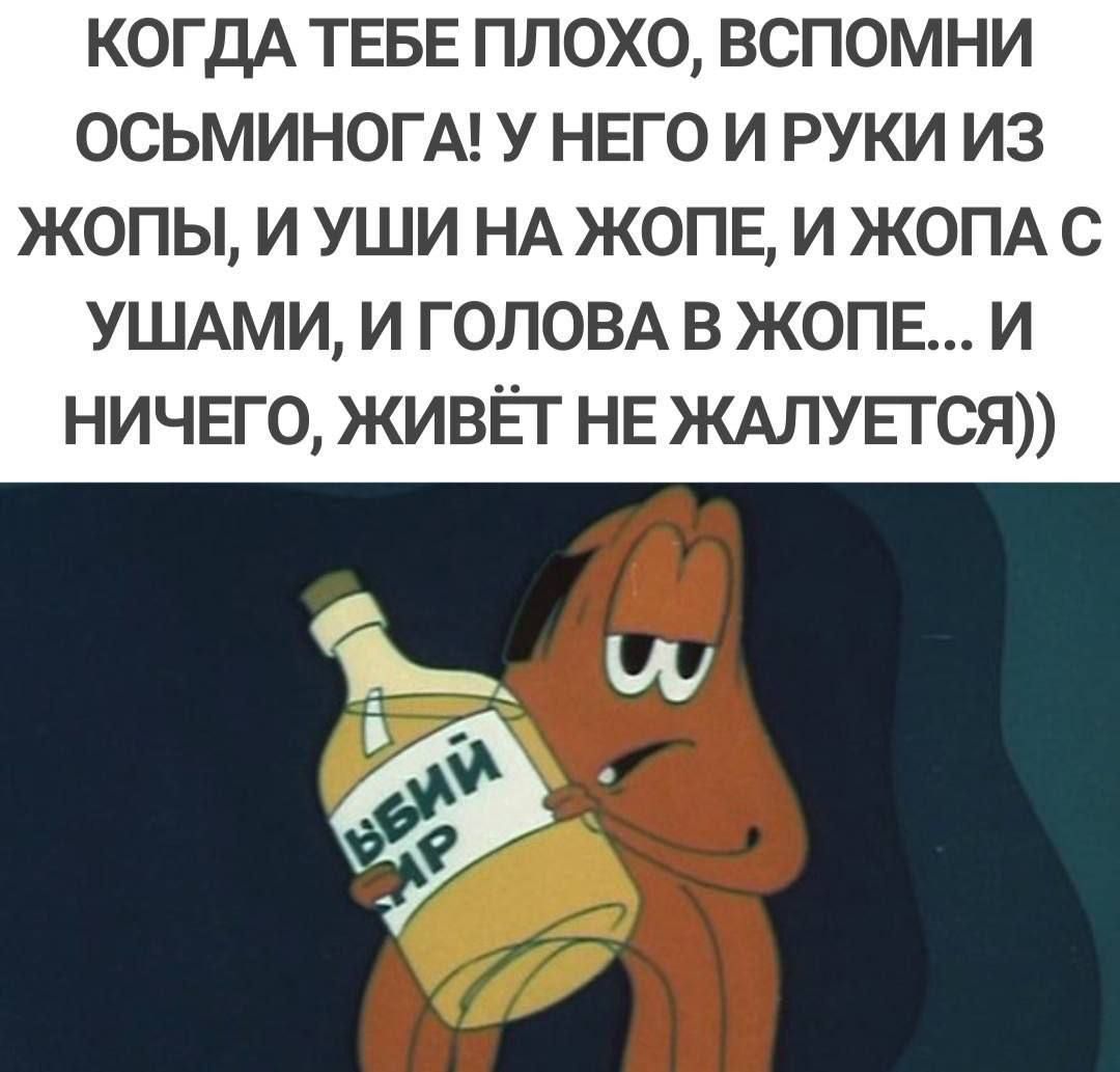 КОЛГДА ТЕБЕ ПЛОХО, ВСПОМНИ ОСЬМИНОГА! У НЕГО И РУКИ ИЗ ЖОПЫ, И УШИ НА ЖОПЕ, И ЖОПА С УШАМИ, И ГОЛОВА В ЖОПЕ... И НИЧЕГО, ЖИВЁТ НЕ ЖАЛУЕТСЯ))