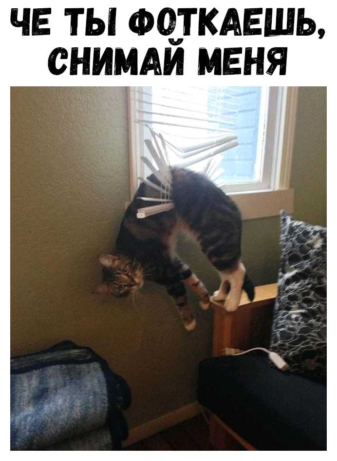 ЧЕ ТЫ ФОТКАЕШЬ СНИМАЙ МЕНЯ