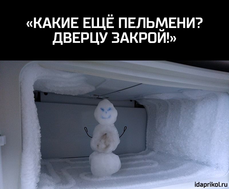 КАКИЕ ЕЩЁ ПЕЛЬМЕНИ ДВЕРЦУ ЗАКРОИ ісіаргіКпіш