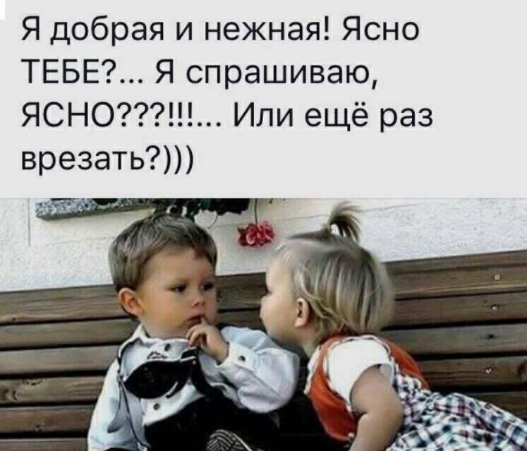 Я добрая и нежная Ясно ТЕБЕ Я спрашиваю ЯСНО Или ещё раз врезать