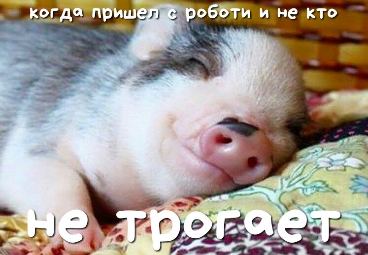 К9Гд приш л побъти и не кто