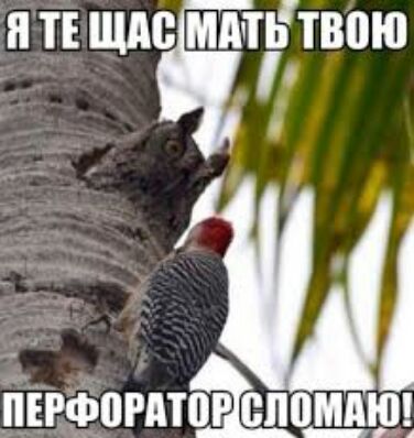 и ТБ шт шт твою іінфогдтог спощпщ