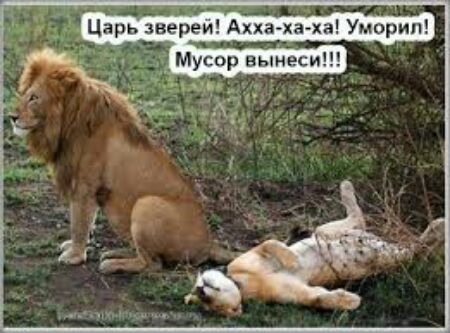 Цар звереи Ахха ха