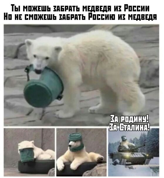 ТЫ ИПЖЕШЬ ИБМ МЕДВЕДЯ И РППЕИИ ЕМПЖЕШЬ ПЕРМЬ РПЕЕИШ И МЕДВЕДЯ Зи ипТиии Зи Етплиип