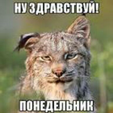 ЗДРАВВТЕУЙ
