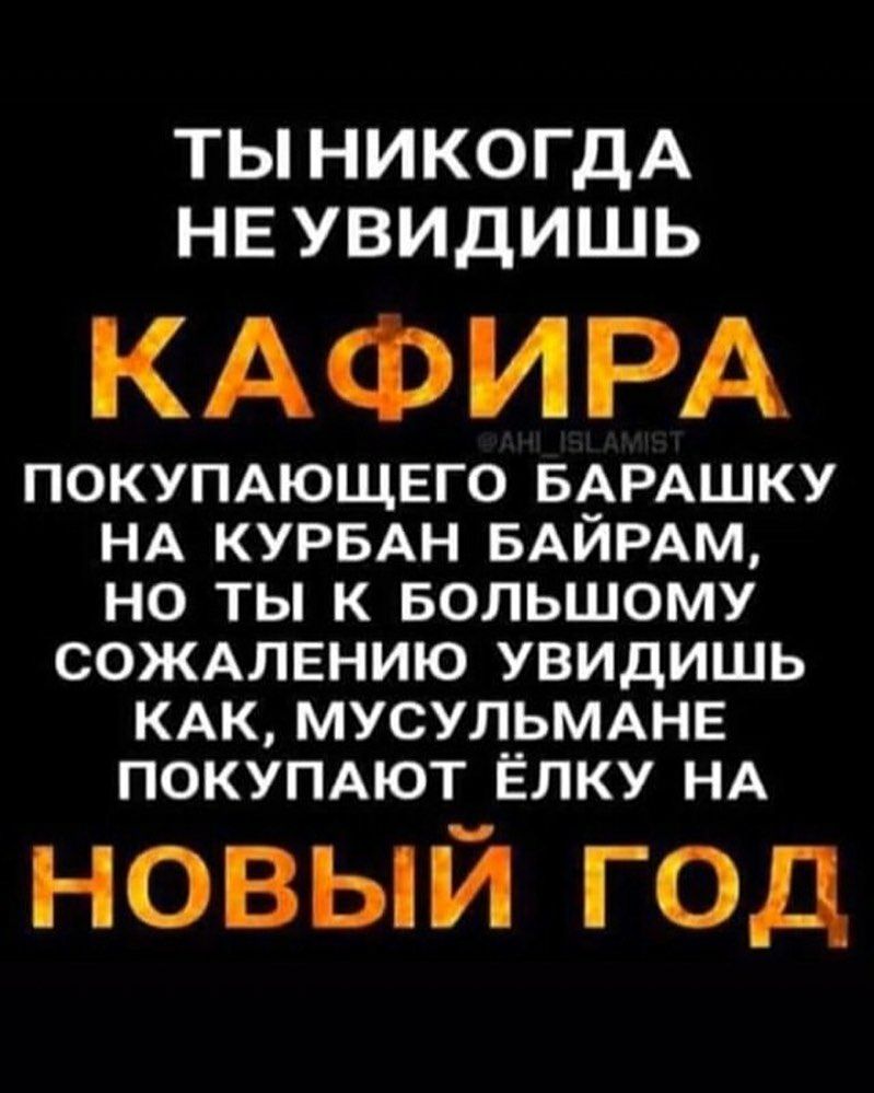 ТЫ НИКОГДА НЕ УВИДИШЬ КАФИРА ПОКУПАЮЩЕГО БАРАШКУ НА КУРБАН БАЙРАМ НО ТЫ К БОЛЬШОМУ СОЖАЛЕНИЮ УВИДИШЬ КАК МУСУЛЬМАНЕ ПОКУПАЮТ ЁЛКУ НА новый год
