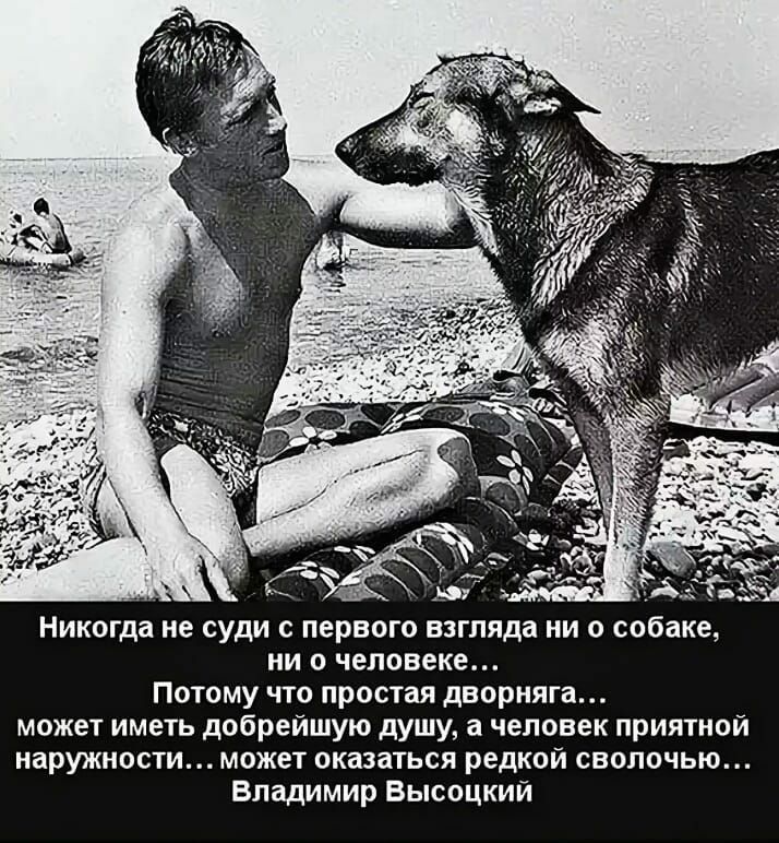_ 3 Никогда не суди с первого взгляда ни о собаке ни о человеке Потому что простая дворняга может иметь добрейшую душу а человек приятной наружности может оказаться редкой сволочью Владимир Высоцкий