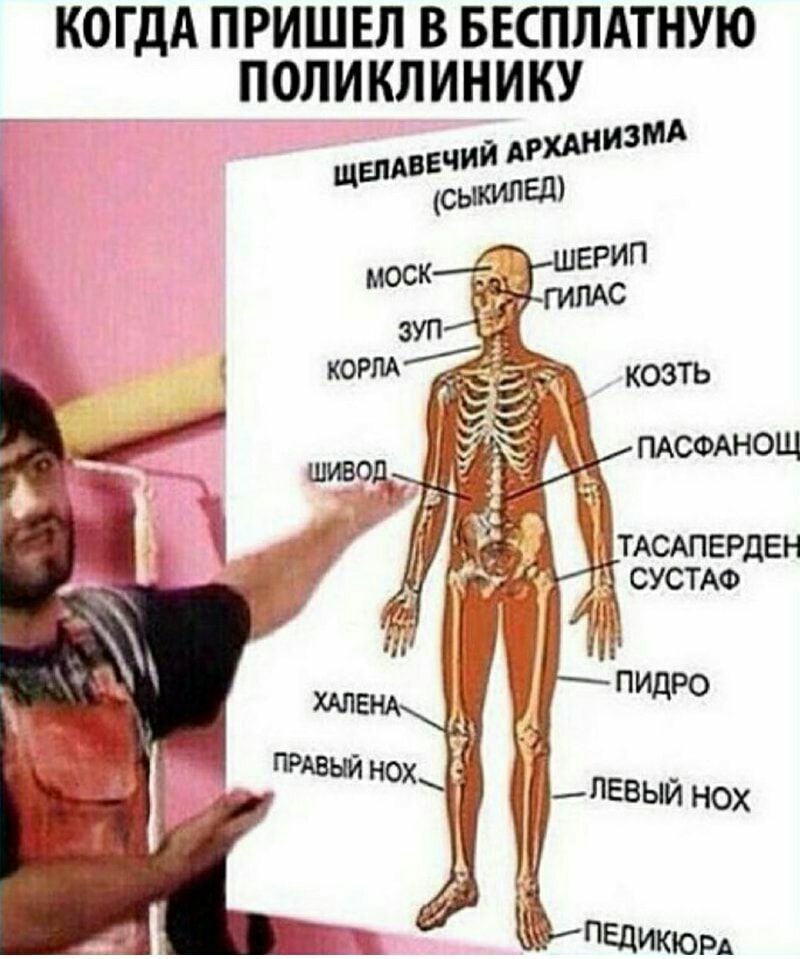 КОГДА ПРИШЕЛ В БЕСПЛАТНУЮ ПОЛИКЛИНИКУ ыяввчий сыкипед Щ ТАСАПЕРДЕН СУСТАФ