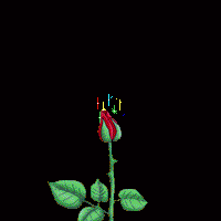 Щ