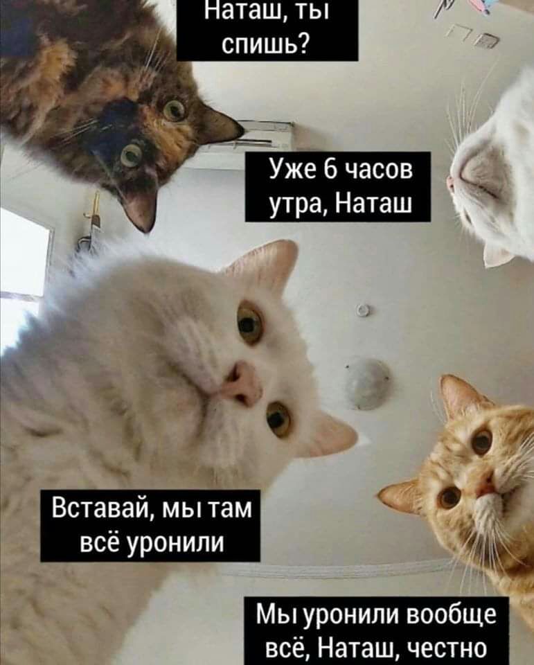 Ё о _ О Вставай мытам А всё уронили Мы уронили вообще всё Наташ честно