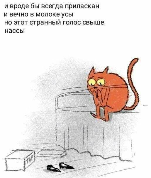 и вроде бы всегда приласкан и вечно в молоке усы но этот странный голос свыше нассы