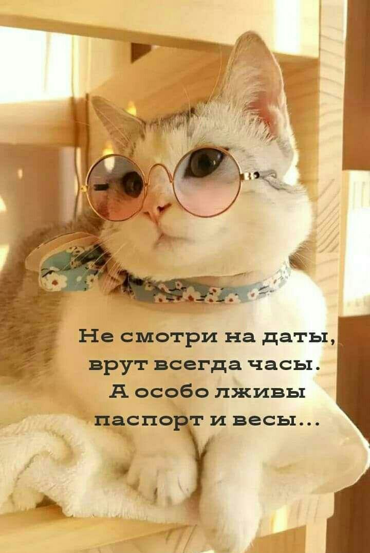 Не смотри на даты врут всегда часы А особо лживы парис и весы
