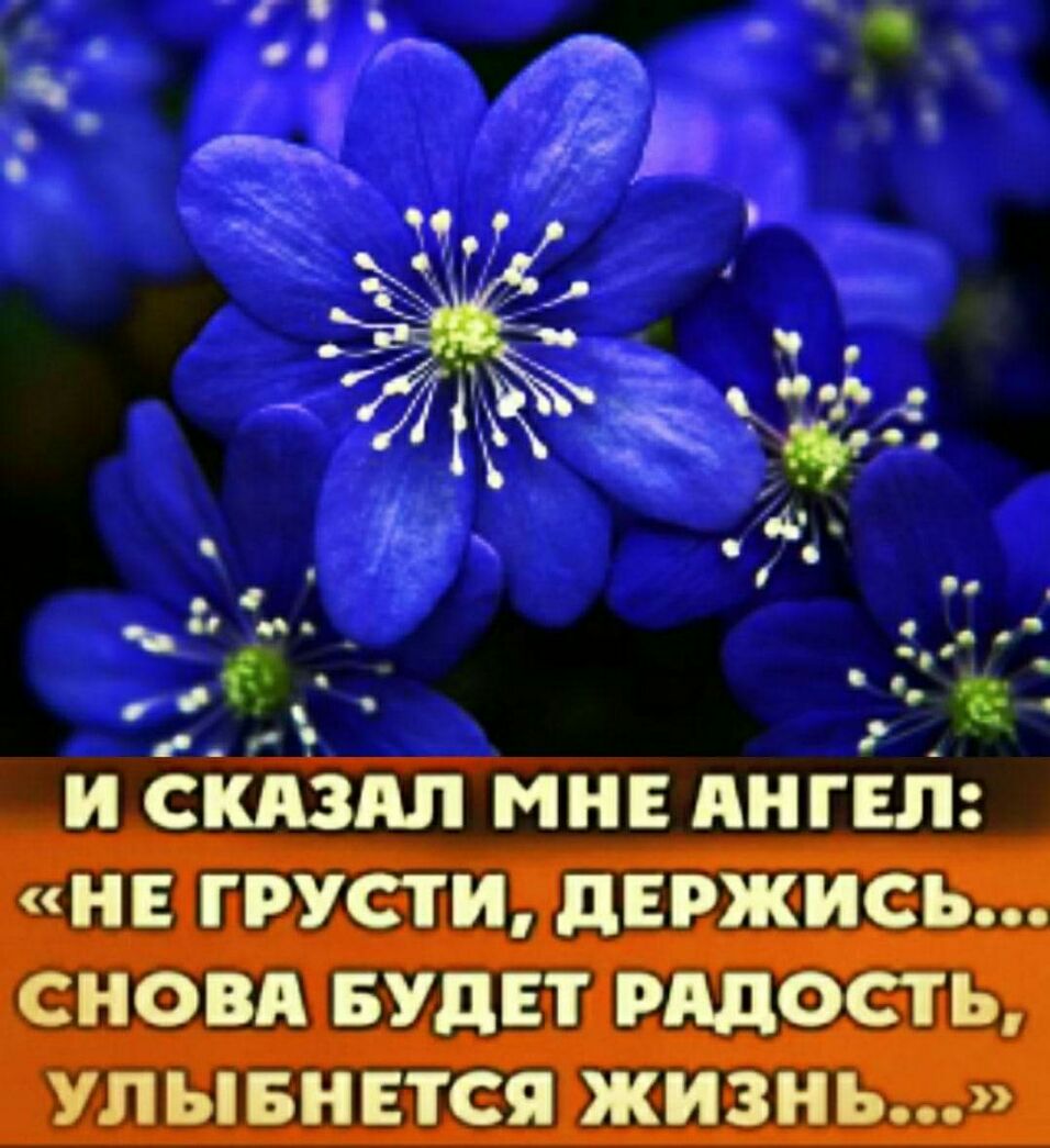 _ Тор Е и С А НЕ А ГЕ НЕ ГРУСТИ дЕРжись СНОВА БУДЕТ РАДОСТЬ УЛ ЫБНЕТСЯ ЖИЗНЬ